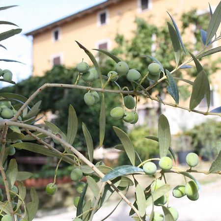 B&B Al Frantoio Chiusi Ngoại thất bức ảnh