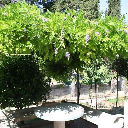 B&B Al Frantoio Chiusi Ngoại thất bức ảnh